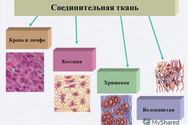 Найдется все кракен